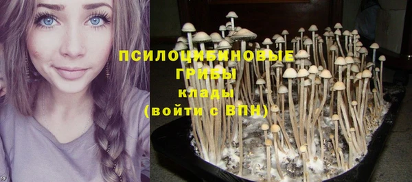 прущий лед Михайловка
