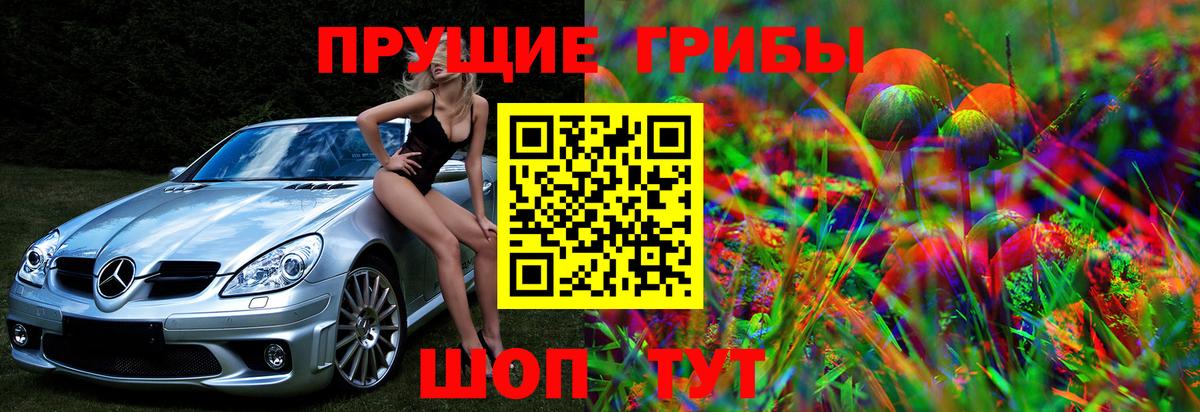 Усть-Кут  Галлюциногенные грибы ЛСД  Вход с VPN  Галлюциногенные грибы мухоморы 