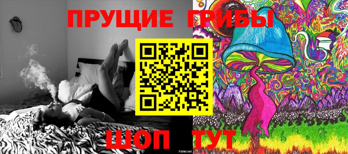 Галлюциногенные грибы Psilocybine cubensis Усть-Кут